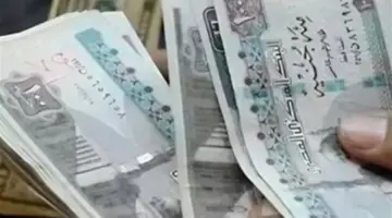 تحديث شامل لمنظومة المعاشات.. كيف ستُبدل “الرقمنة” حياة ملايين المستحقين في مصر؟